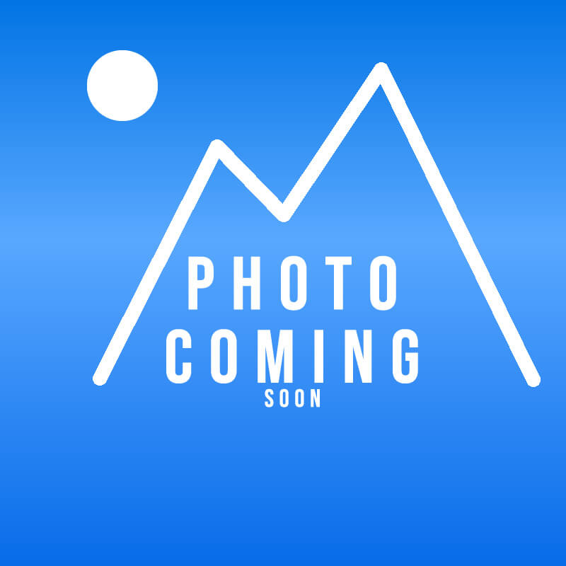 BYD 2021 e2 Upgraded High Range Premium Edition (Automatic)